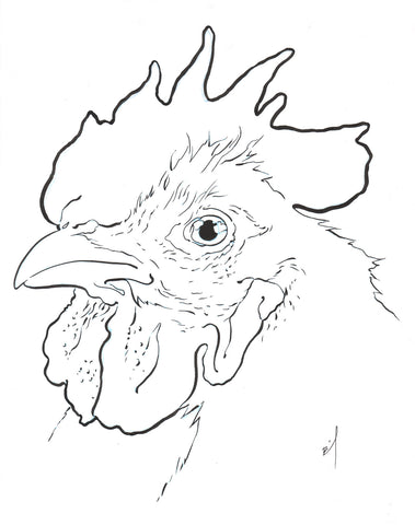 Drawing of a chicken
