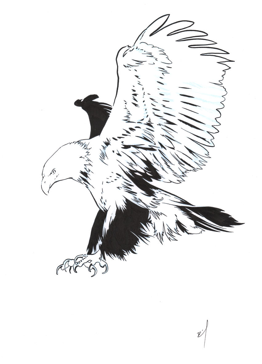 Stylized Eagle Drawing With A Black Line From The Ornament. Illustration Of  A Flying Bird. Freedom. Independence. Isolated Object On White Background.  Image For Your Decor And Design. Tattoo. Royalty Free SVG,
