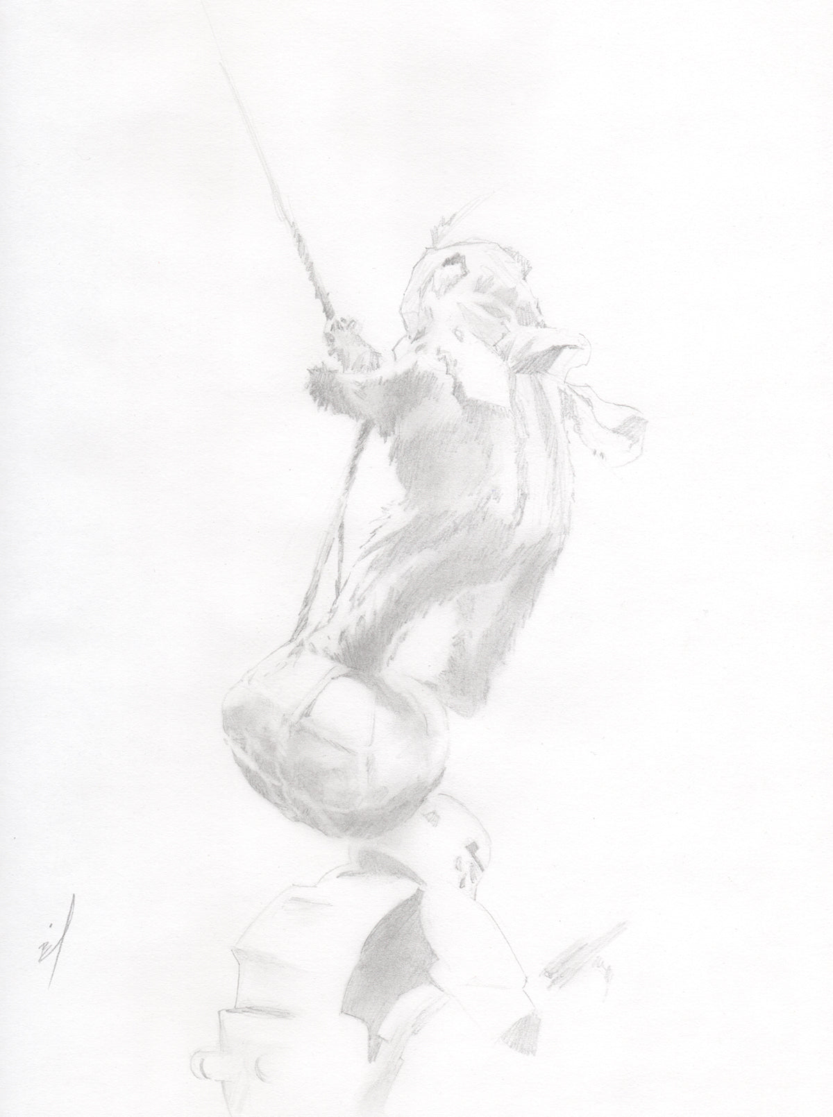 Drawing of an Ewok swinging on a rope